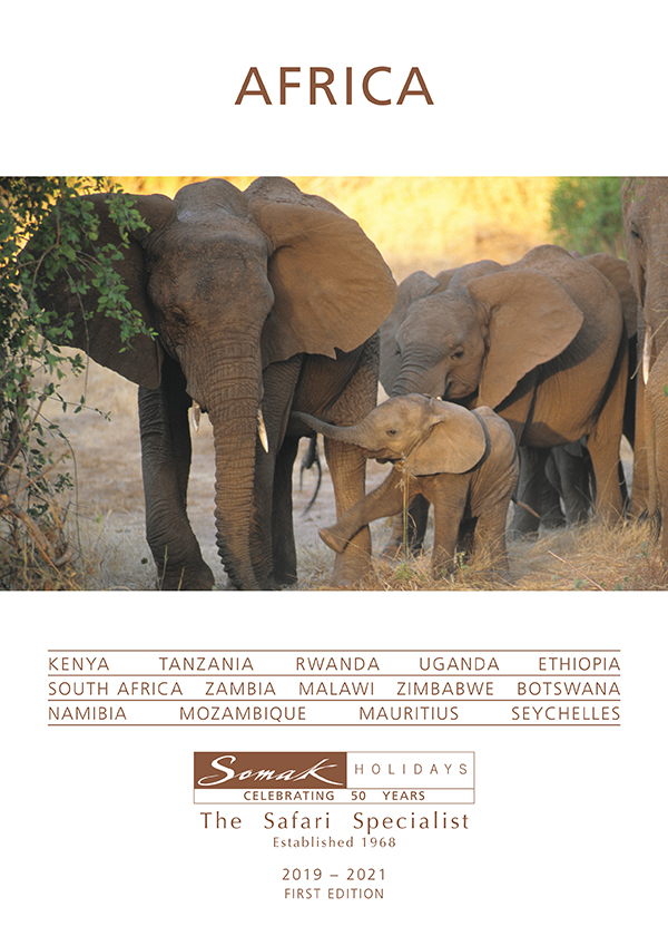 Africa Brochure