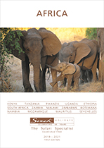 Brochure cover