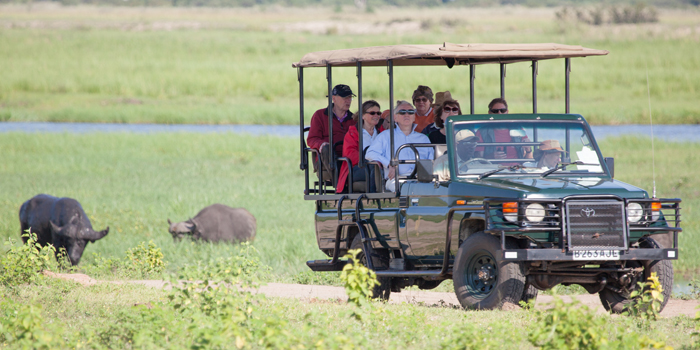 Chobe Game Drive Chobe Game Drive