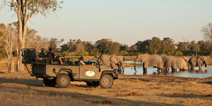 Game drive