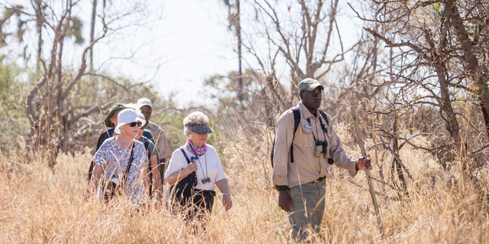 Bush walk