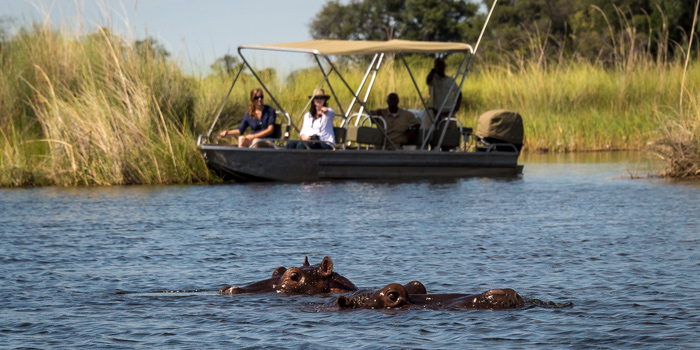 Wildlife viewing