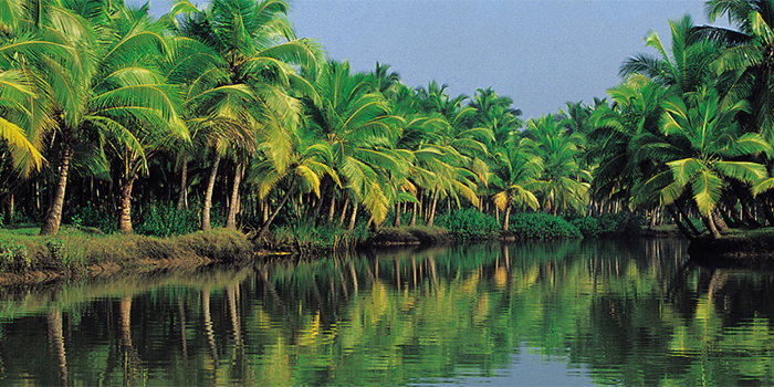 Backwaters Backwaters