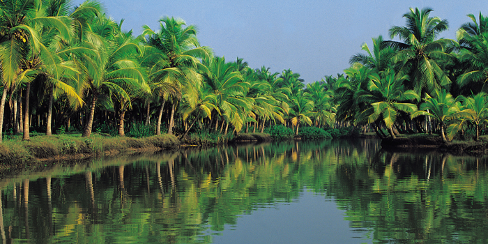 Backwaters