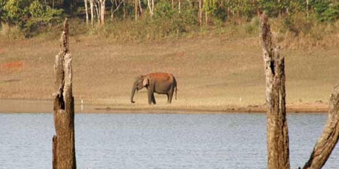 Lake Periyar