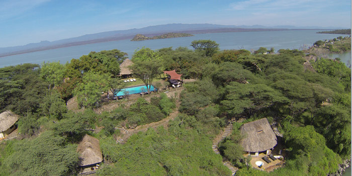 Overview