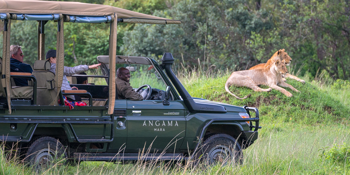 Game drive