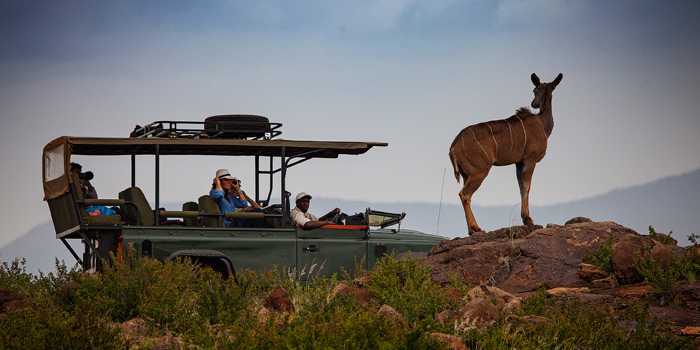 Game drive