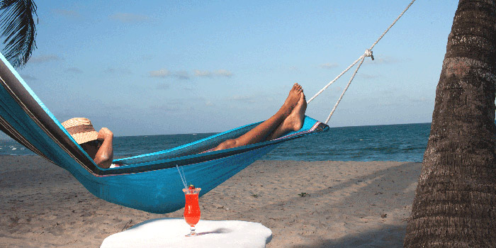 Hammock