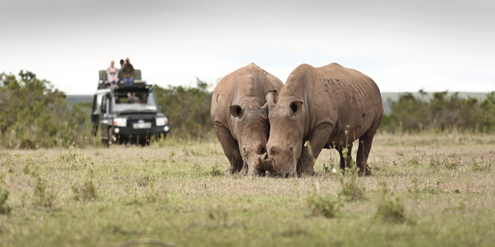 Game drive