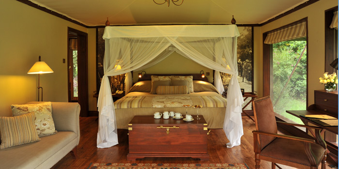 Guest bedroom