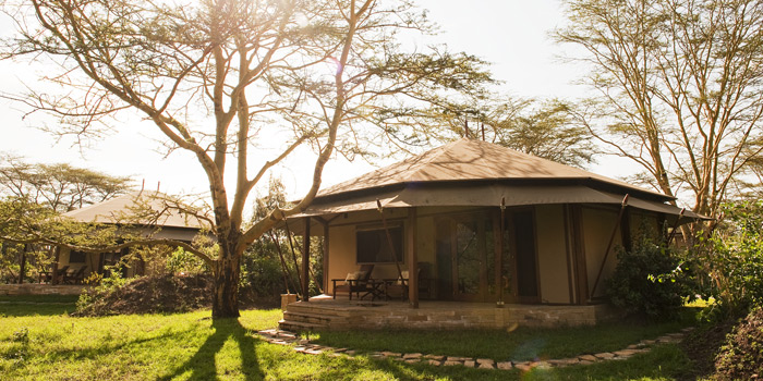 Tent exterior