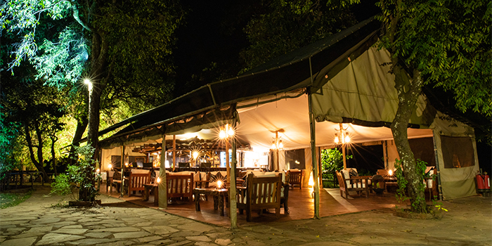 Camp at night