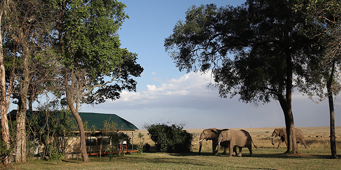 Visitors to camp