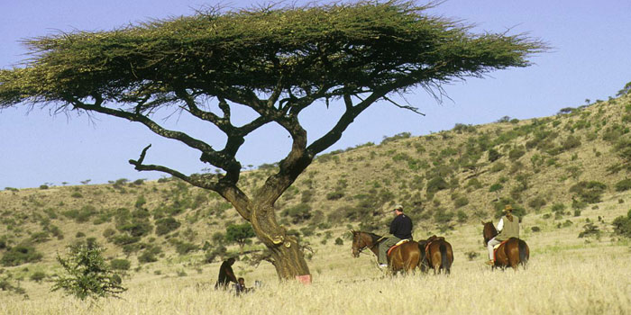 Horse riding