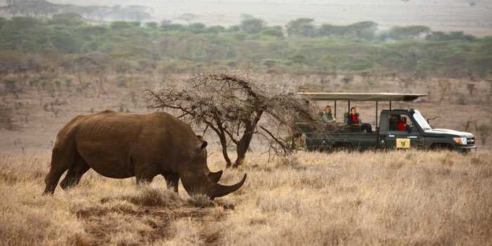 Game drive