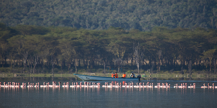 Lake Naivasha