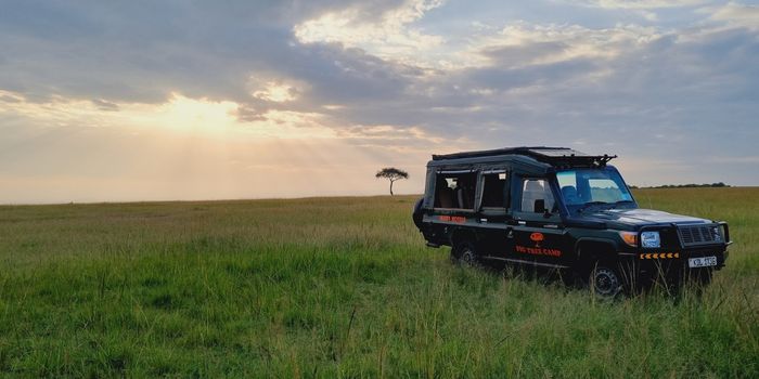 Game drives in the Mara savannah