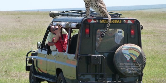 Exciting game drives