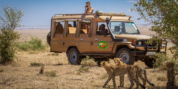 Game Drive