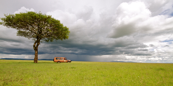Game drive