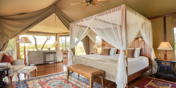 Luxurious Comfort