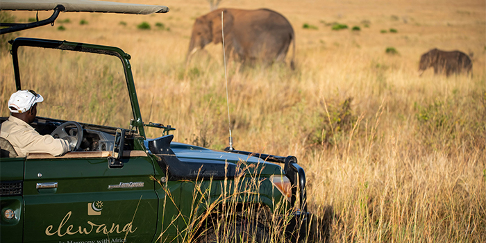 Game drive