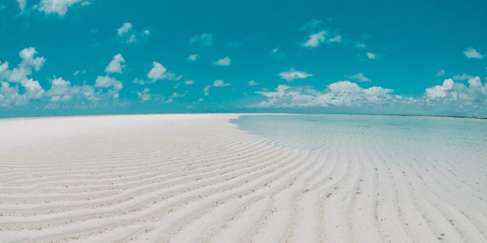 Wide white-sand beaches