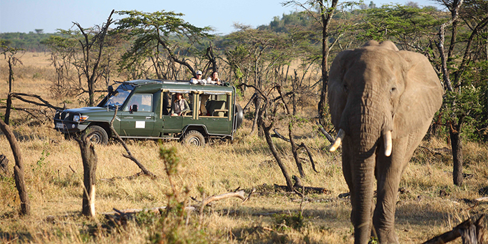 Game drive
