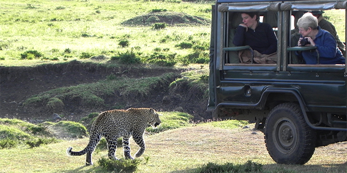 Game drive
