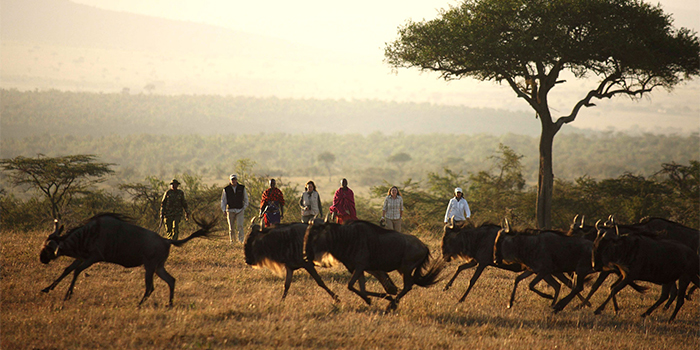 Walking safari