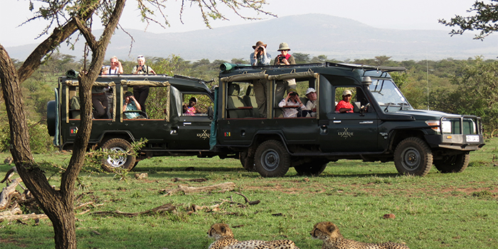Game drive