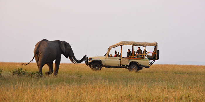 Game drive