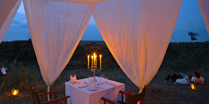 Bush dinner