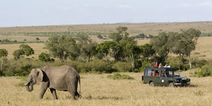 Game drive