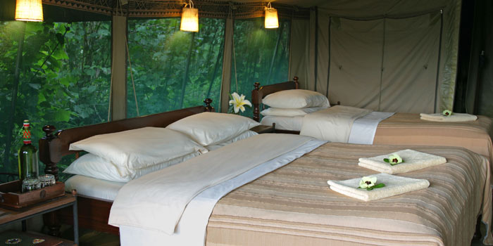 Guest tent