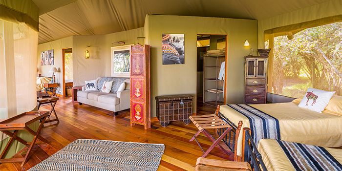 Forest family tent