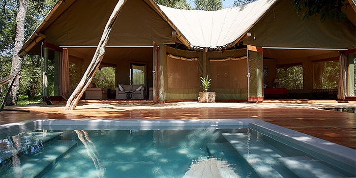 Forest luxury tent