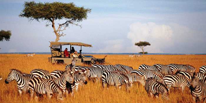 Game drive