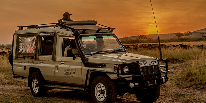 Game Drive