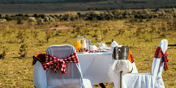 Bush Breakfast