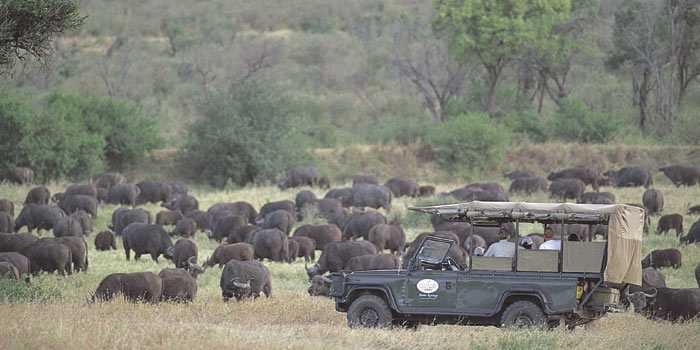 Game drive