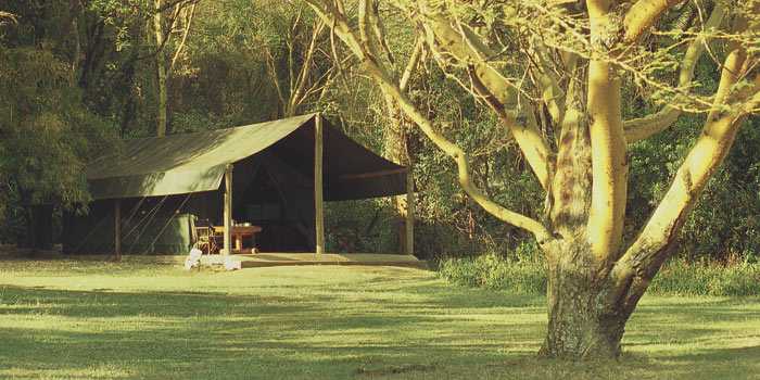 Tent exterior