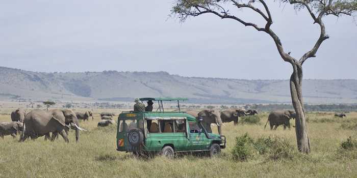 Game Drive