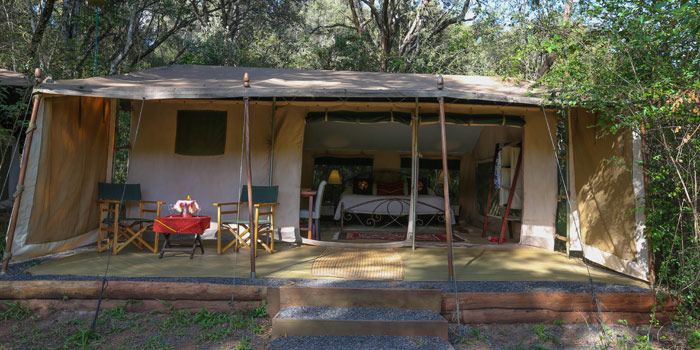 Tent exterior