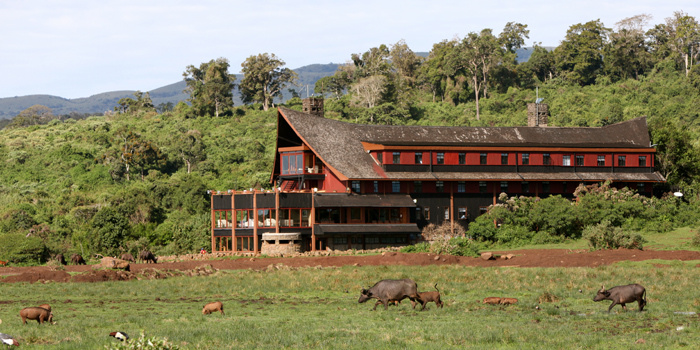 Ark Lodge