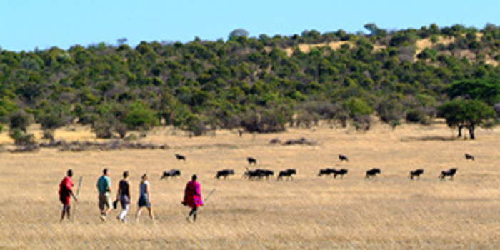 Walking safari Walking safari