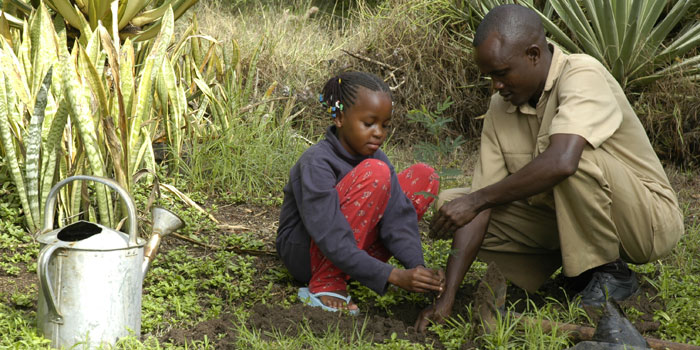 Tree planting