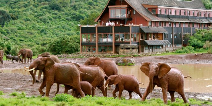 Ark Lodge Ark Lodge
