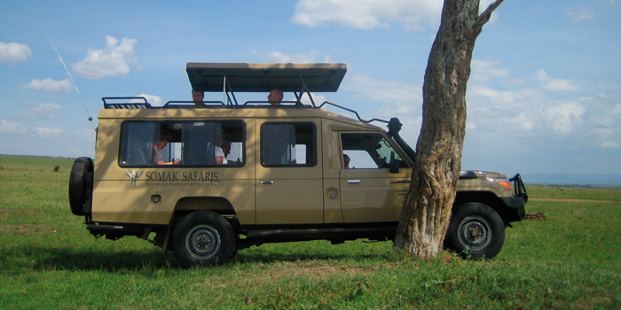 Safari vehicle Safari vehicle